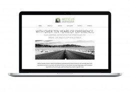 METICUS WEBSITE · 01